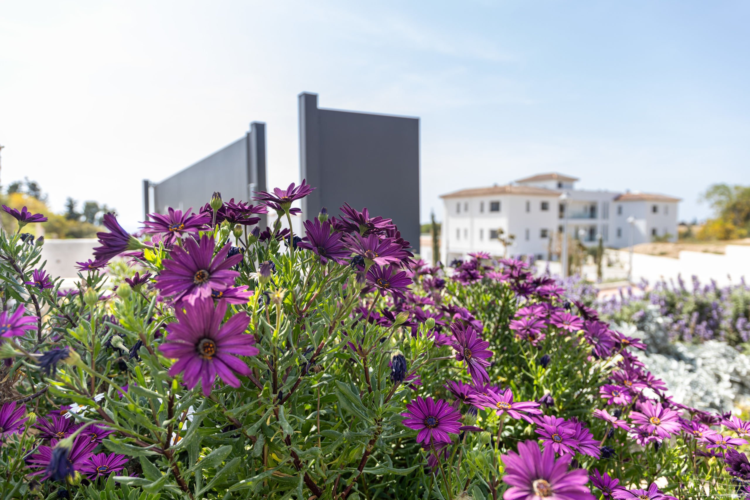 Image of Apartment - 2 Bedrooms - 2 Bathrooms for Sale in Paphos-Cyprus, Image 3