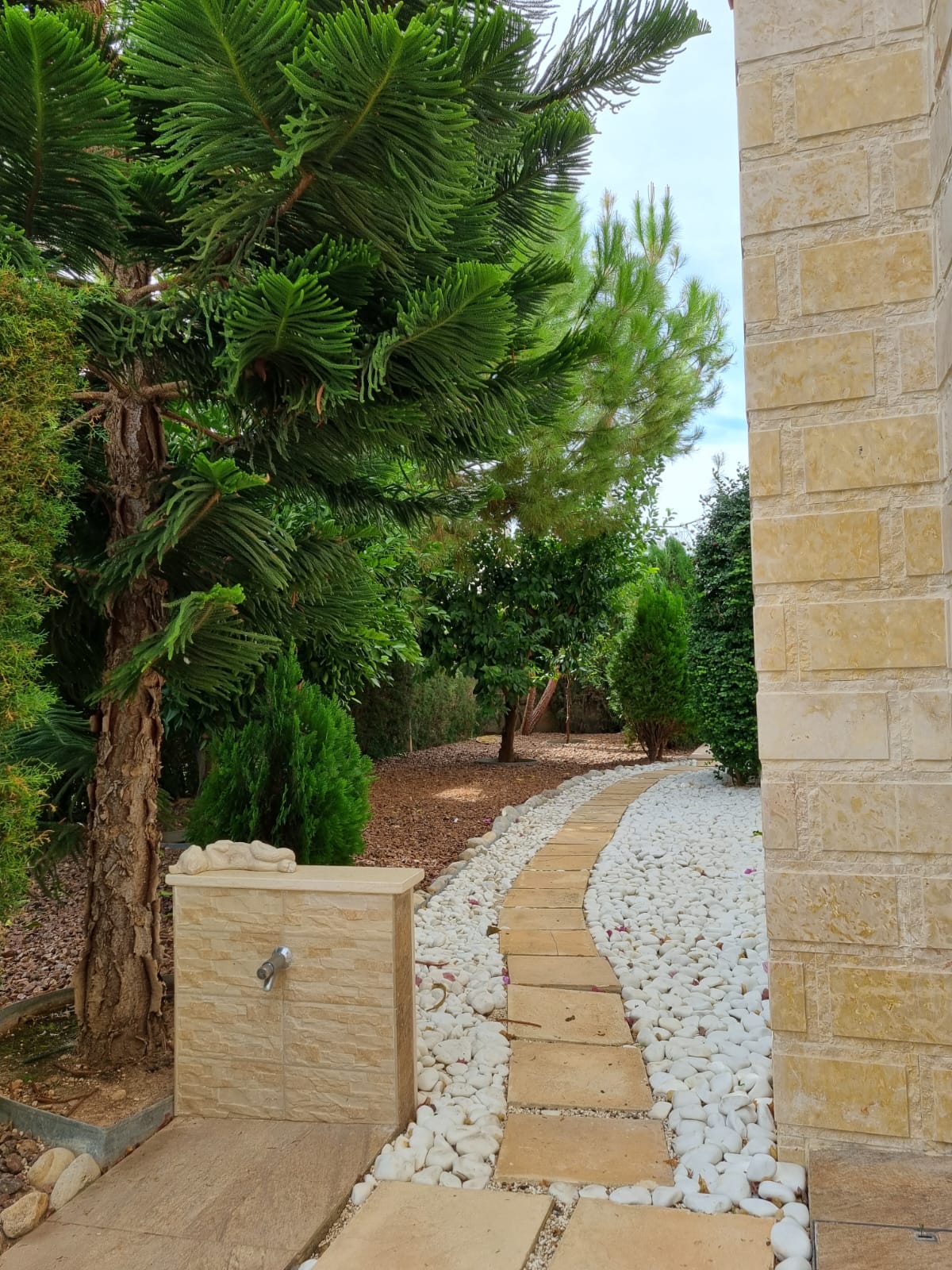 Image of Villa - 3 Bedrooms - 3 Bathrooms for Sale in Paphos-Cyprus, Image 5