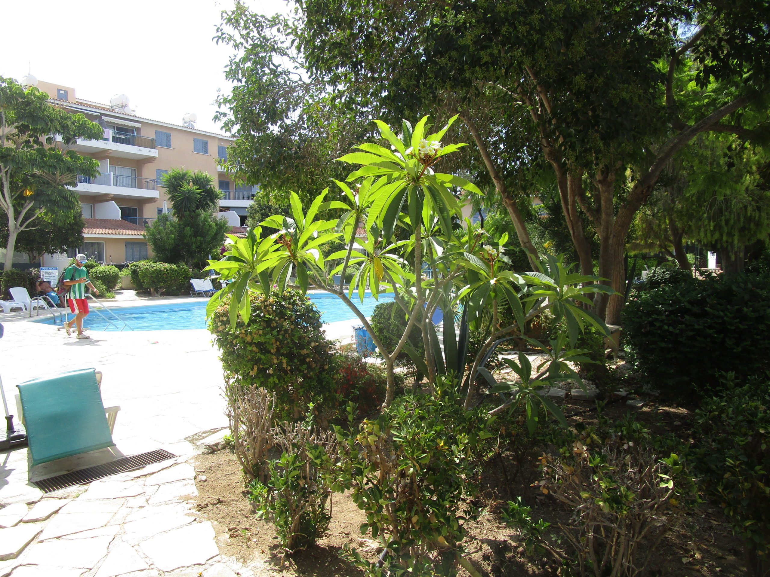 Image of Villa - 2 Bedrooms - 2 Bathrooms for Rental in Paphos-Cyprus, Image 6
