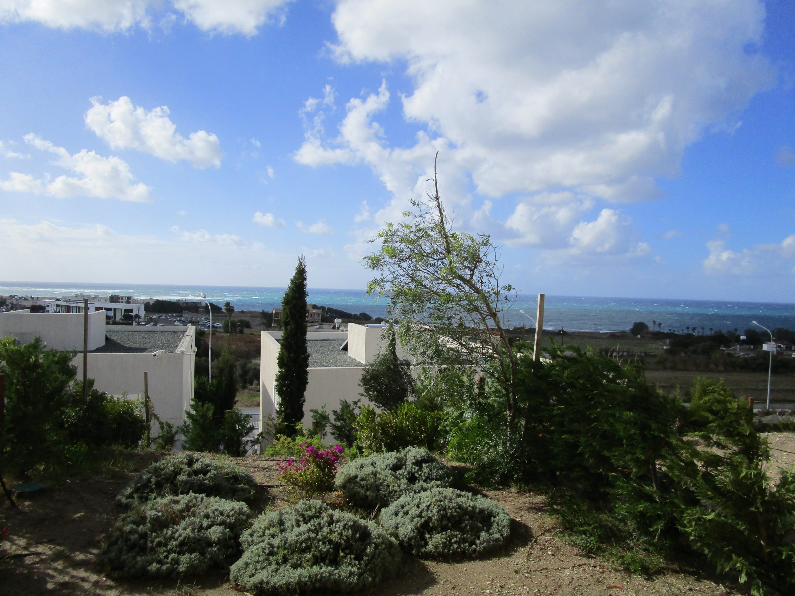 Image of Villa - 2 Bedrooms - 2 Bathrooms for Sale in Paphos-Cyprus, Image 3